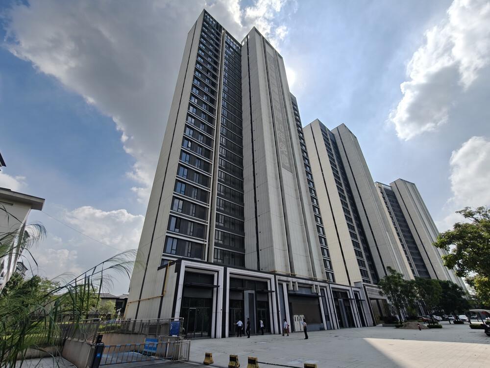 开云入口-东莞市一个小区487套房产打包拍卖，被人底价1.124亿元竞得